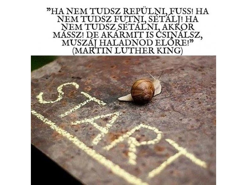 kep
